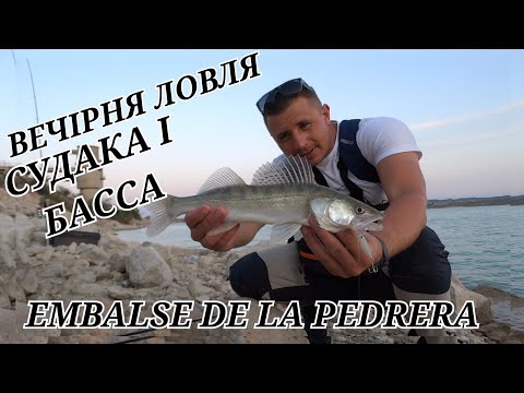 Видео: EMBALSE DE LA PEDRERA. LUSIOPERCA I BLACK BASS. ЛОВЛЯ СУДАКА І БАССА В ТОРРЕМЕНДО НА СПІННІНГ