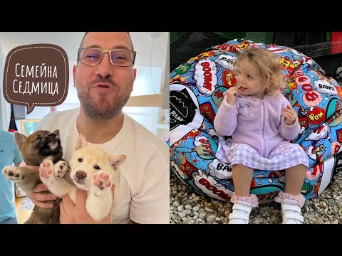 Видео: Мишката сглобява 3 D пъзел,купихме си пекарна за хляб,рисуваме върху шишарки и листа.Семейна седмица