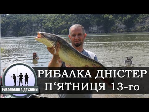 Видео: РИБАЛКА НА ДНІСТРІ. П'ятниця 13-го