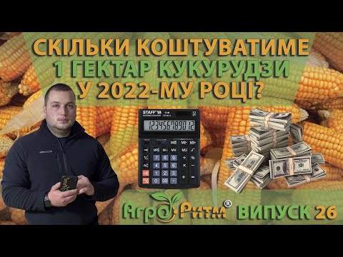 Видео: ХВАТИТ ЛИ ДЕНЕГ?СКОЛЬКО БУДЕТ СТОИТЬ ОДИН ГЕКТАР КУКУРУЗЫ В 2022 М?
