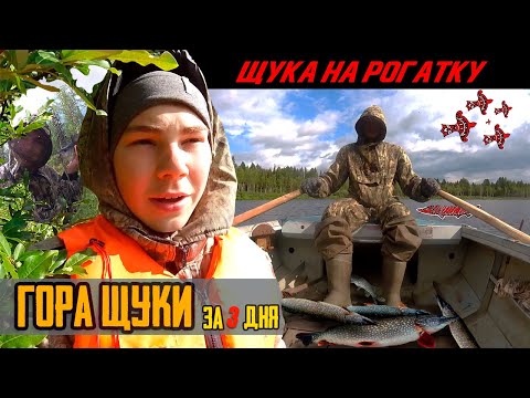 Видео: ГОРА ЩУКИ ЗА 3 ДНЯ | КАК ЛОВИЛИ РЫБУ КОМИ РЫБАКИ | Рыбалка в Республике Коми на рогатку