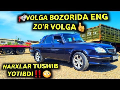 Видео: БУНАҚАСИ КАМ! ВОЛГА БОЗОРГА ЭНГ ЗЎРИ ЧИҚДИ! НАРХЛАР ТУШИБ ЁТИБДИ