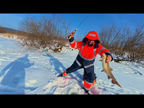 Видео: РЫБА ЛОМАЕТ УДОЧКИ ДАЖЕ В ГЛУХОЗИМЬЕ.