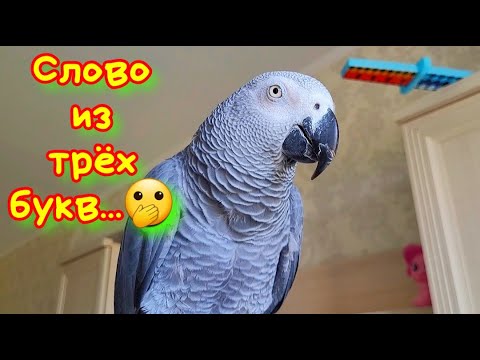 Видео: ВАЖНО!!! Ответка подписчику по поводу...