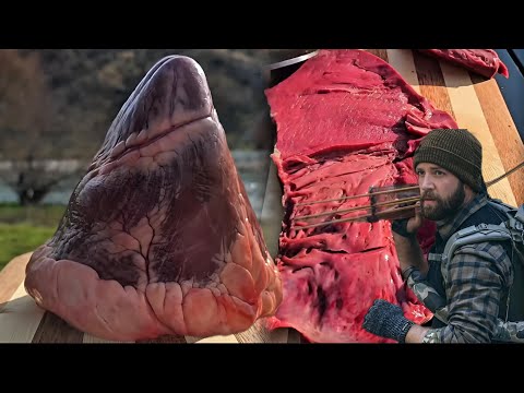 Видео: Охота и добыча: от сердца к столу! Охота и добыча: от сердца к столу