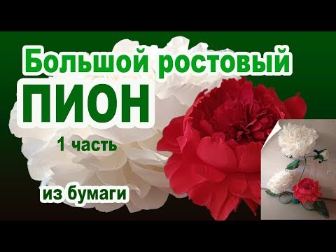 Видео: ВИДЕОУРОК 1часть БОЛЬШОЙ РОСТОВЫЙ ПИОН.ARTdeko.