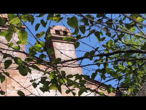 Видео: о.Русский, школа связи, 2 рота (часть 2)