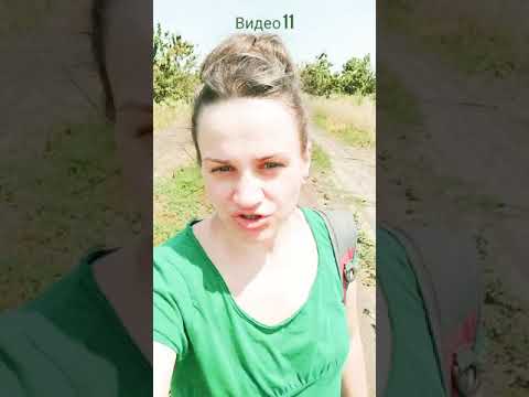 Видео: Не гламурная кухня!!! Видео 11. 03.07.2021 г. Черешня в собственном соку, без сахара.