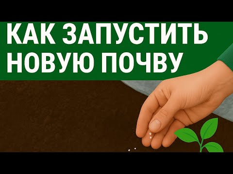 Видео: Как правильно запустить новую почву перед огурцами | Подготовка за 2 месяца до посадки #ЗемляДел