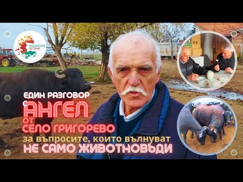 Видео: Ангелу нелегко расстаться с животными, которых он любит и которые обеспечивают ему средства к жизни.