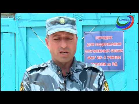 Видео: Служа Родине