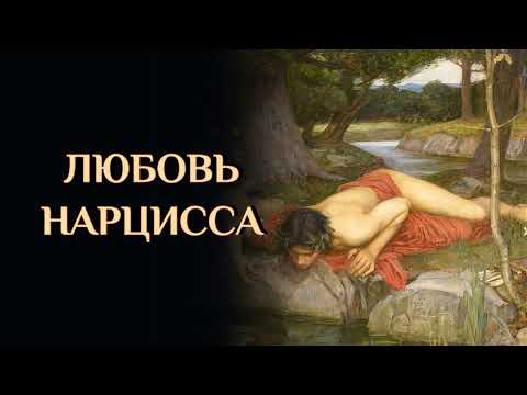 Видео: Любовь Нарцисса