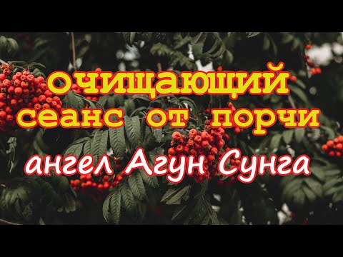 Видео: Очищающий сеанс от порчи. Ангел Мужества Агун Сунга