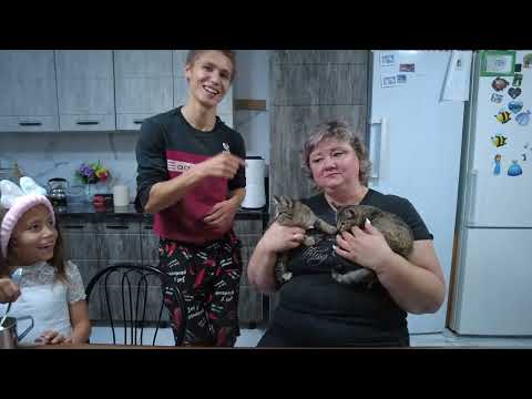 Видео: Мама и 💞11 детей💞- Как мне удружил Владик 🐱🐱-  варенье Фейхоа и 🍯