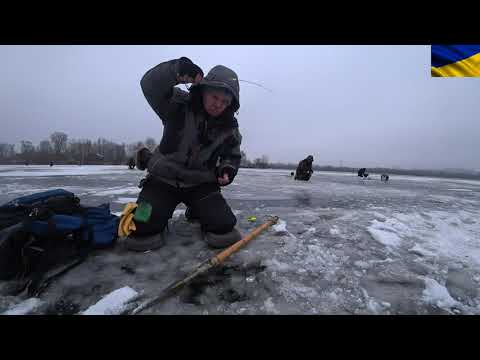 Видео: #рыбалка#плотва#    Плотва в городе. Рыбалка, лёд,мормышка.