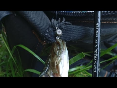 Видео: Стара Graphiteleader Finezza 792UL-S (0.5-6).