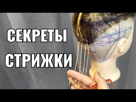 Видео: секрет в стрижке