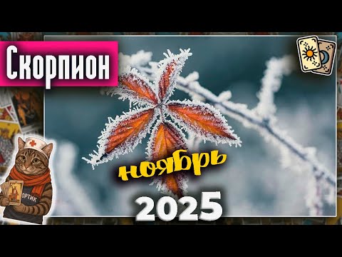 Видео: Скорпион Таро Ноябрь 2025