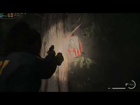 Видео: low fps страшилОчка, есть ли жизнь с RTX 3080? | Alan Wake 2 прохождение #3