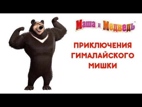 Видео: Маша и Медведь - Приключения Гималайского Мишки 🐻 Все серии подряд! 🎬