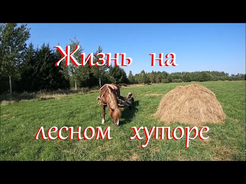 Видео: Завершение сенокоса. Как погрузить воз сена.