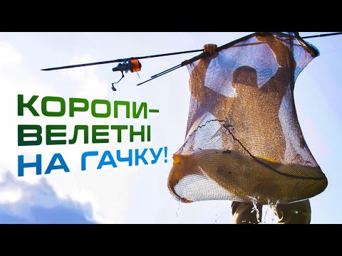 Видео: 🔥ПОЛЮВАННЯ НА ТРОФЕЙНОГО КОРОПА 20+ кг — боротьба до останнього!