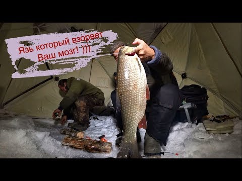 Видео: Рыбалка! Язь который взорвет Ваш мозг! Якутия Yakutia