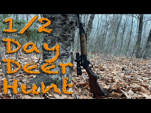 Видео: 1/2 дня охоты на оленей