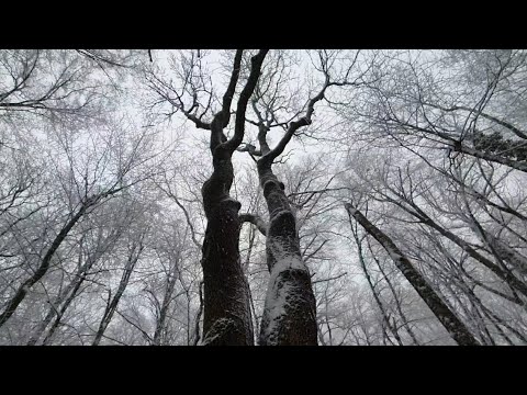 Видео: Суровая Кругосветка🤪