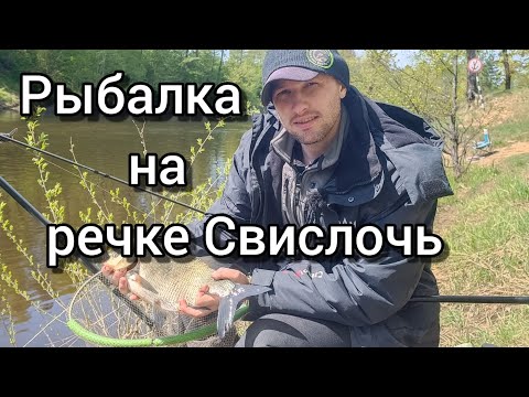 Видео: Фидерная рыбалка в мае на речке Свислочь. Ловля леща на речке.