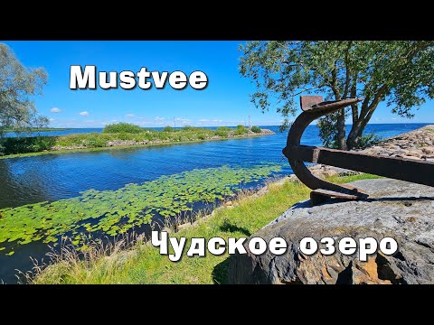 Видео: Каникулы на Чудском озере. Муствее.