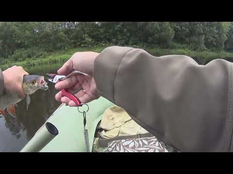 Видео: Лодка — «Нырок», рыба — голавль, душа — в порядке. Сплав по Волге без прикрас