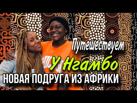 Видео: Едем в Казань и в Москву ✰ у нас новые друзья