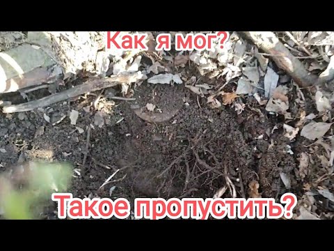 Видео: Здесь я не впервые!Но как я мог такие находки пропустить???