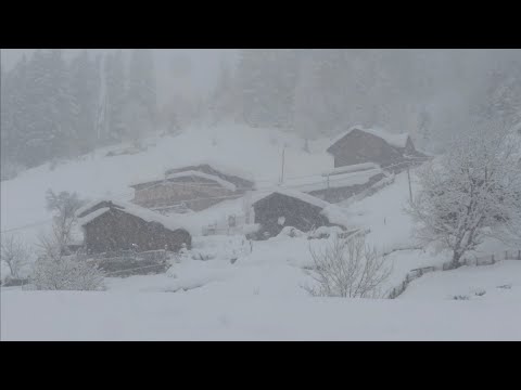 Видео: Как живут люди в заснеженных деревнях? Турецкая деревня