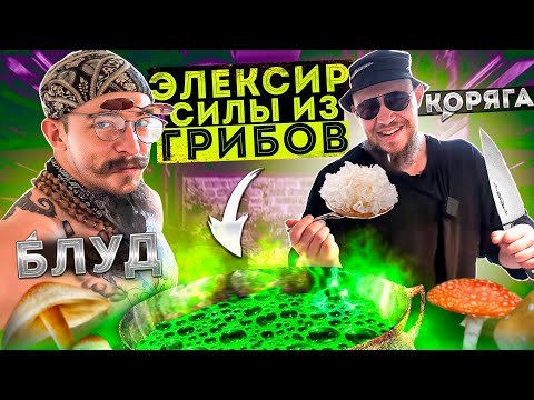 Видео: УДИВИЛ ВИКТОРА БЛУДА ГРИБАМИ?!