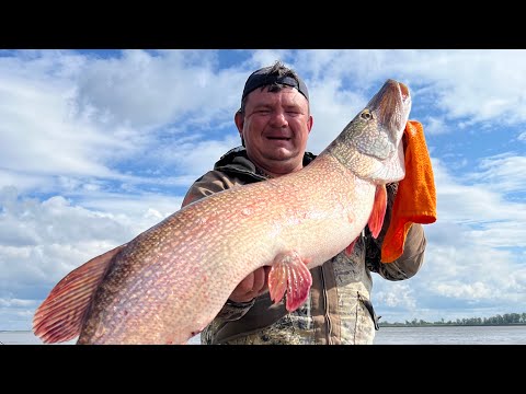 Видео: Они не лезут в камеру. Здесь влетают реальные рыбехи.
