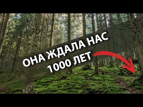 Видео: Вы не поверите что мы нашли в лесу!