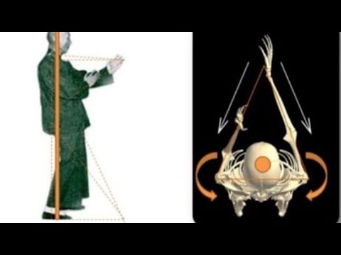 Видео: ПОЧЕМУ сегодня кто-то выбирает Вин-Чунь для самообороны???