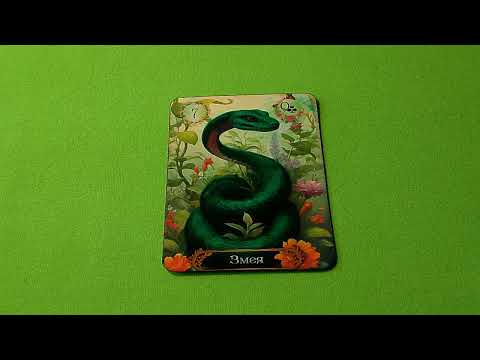 Видео: ЗНАЧЕНИЕ КАРТ ЛЕНОРМАН.