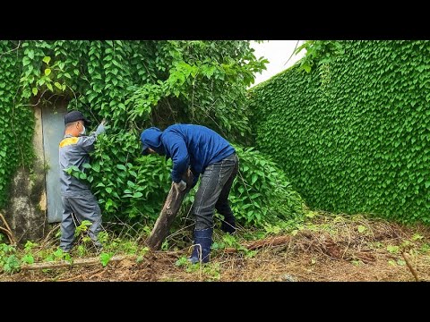 Видео: От ТЕМНЫХ РУИН до ДОМА МЕЧТЫ — Очистите и ИССЛЕДУЙТЕ заброшенный дом