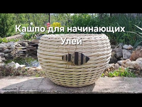 Видео: Кашпо для начинающих УЛЕЙ #кашпоизротанга #плетениеизротанга #diy #мкдляначинающих