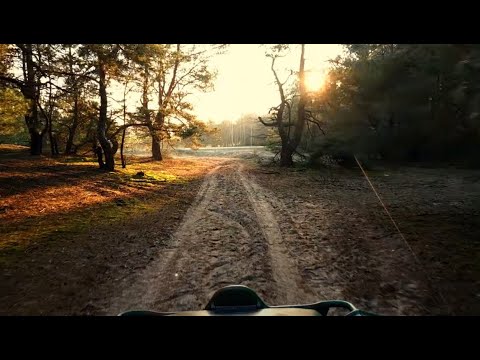 Видео: сумно на души, дывячись на нашу берестейщину зараз
