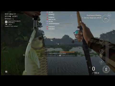 Видео: Fishing Planet. Стрим на озере Маку-Маку, Перу, Амазония. Качаемся на сомиках. Садок на 500 кг.