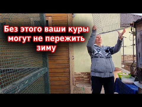 Видео: Куры зимой в неотапливаемом курятнике 🐔🐔🐔 Мои куры несутся зимой как летом!