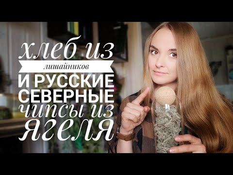 Видео: ХЛЕБ из ЛИШАЙНИКОВ👍 и русские северные чипсы из кладонии