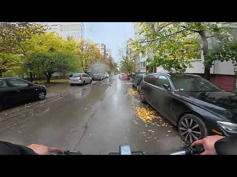 Видео: Четвърти ноември 2025г. Сутрешното видео. Малко вали, но приятно!