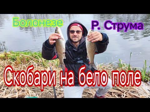 Видео: СКОБАРИ на БЕЛО ПОЛЕ! РИБОЛОВ на РЕКА СТРУМА! РИБОЛОВ на СКОБАР! РИБОЛОВ на БОЛОНЕЗЕ!