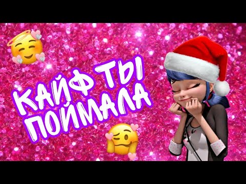 Видео: КЛИП ЛЕДИ БАГ И СУПЕР КОТ ПОД ПЕСНЮ КАЙФ ТЫ ПОЙМАЛА