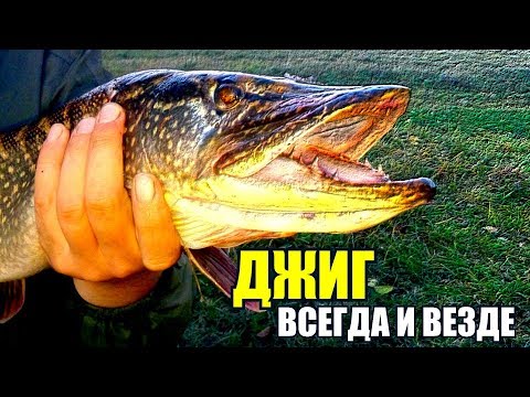 Видео: Джиг БЕЗ ошибок ВСЕГДА и ВЕЗДЕ! Джиг на реке, пруду, микро-речке! Проводки, тактика, поводки!